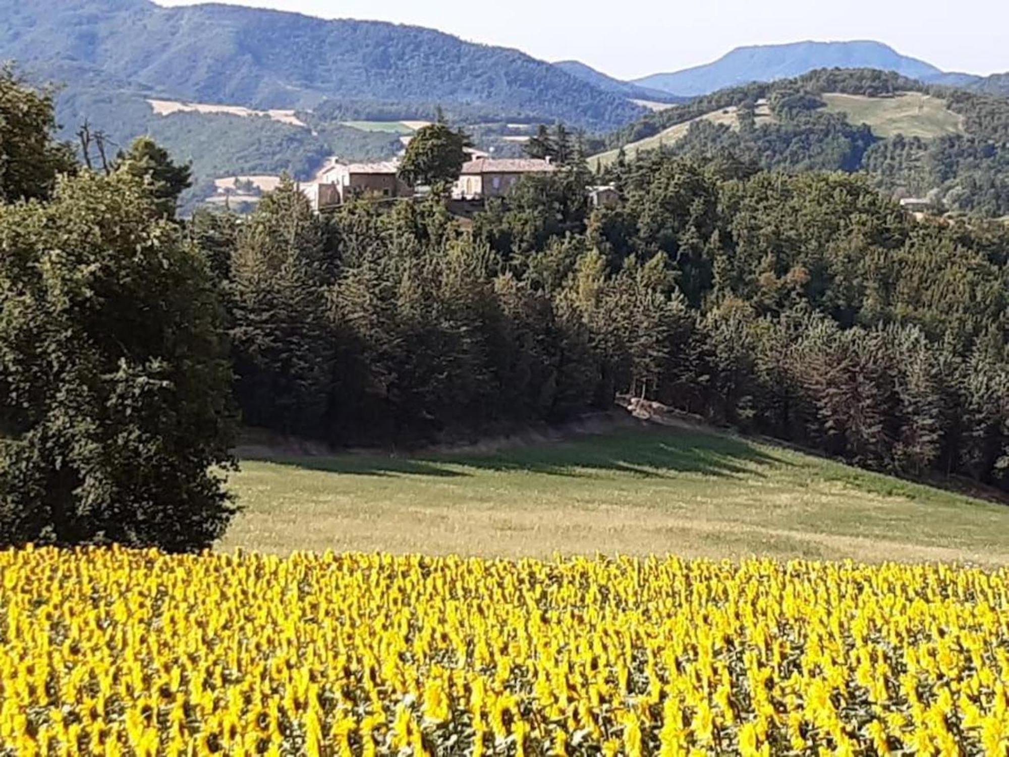 Villa Ca' Gulino Casaletto esclusivo Urbino Esterno foto